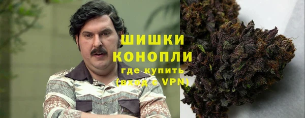 ГАЛЛЮЦИНОГЕННЫЕ ГРИБЫ Алексеевка