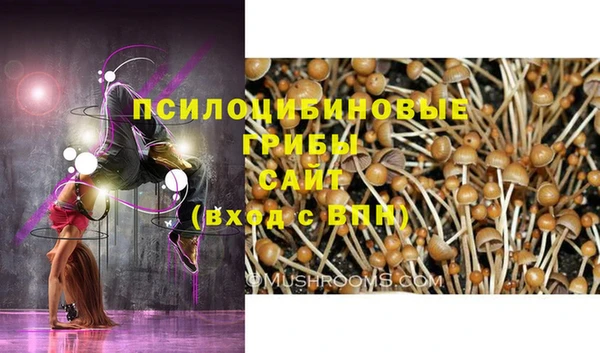 ГАЛЛЮЦИНОГЕННЫЕ ГРИБЫ Алексеевка