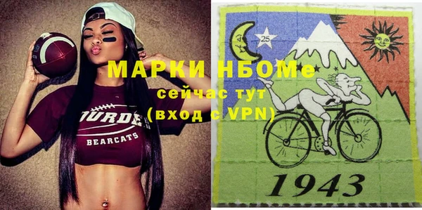 хмурый Алзамай