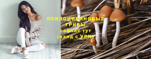 скорость Дмитриев