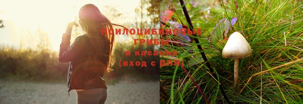 ГАЛЛЮЦИНОГЕННЫЕ ГРИБЫ Алексеевка