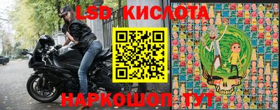шишки Новокубанск