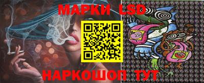 стаф Новодвинск