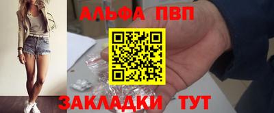 стаф Новодвинск