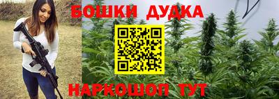 шишки Новокубанск