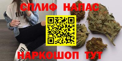 стаф Новодвинск