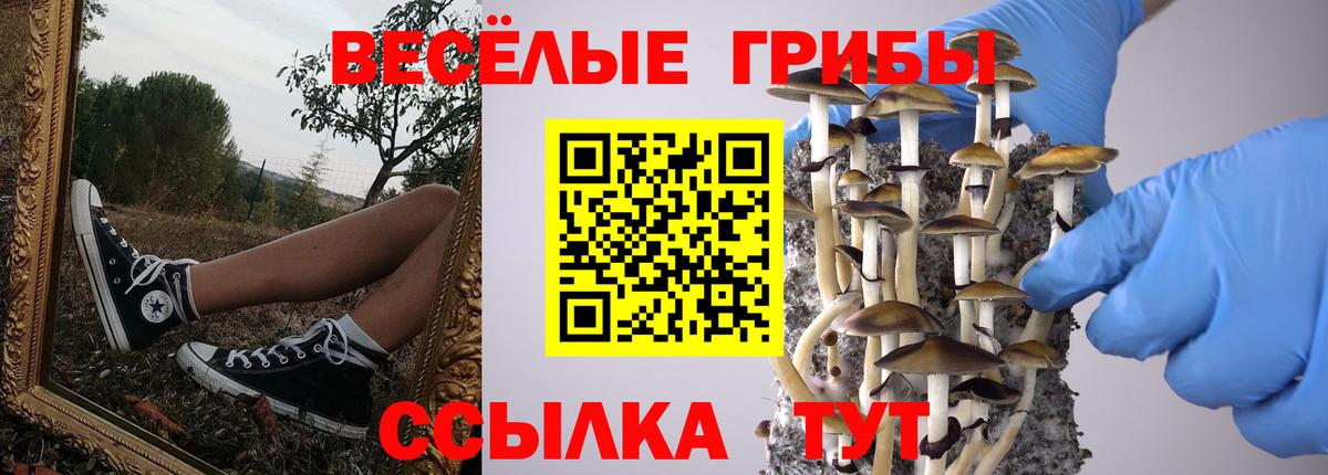 Галлюциногенные грибы Magic Shrooms Мытищи