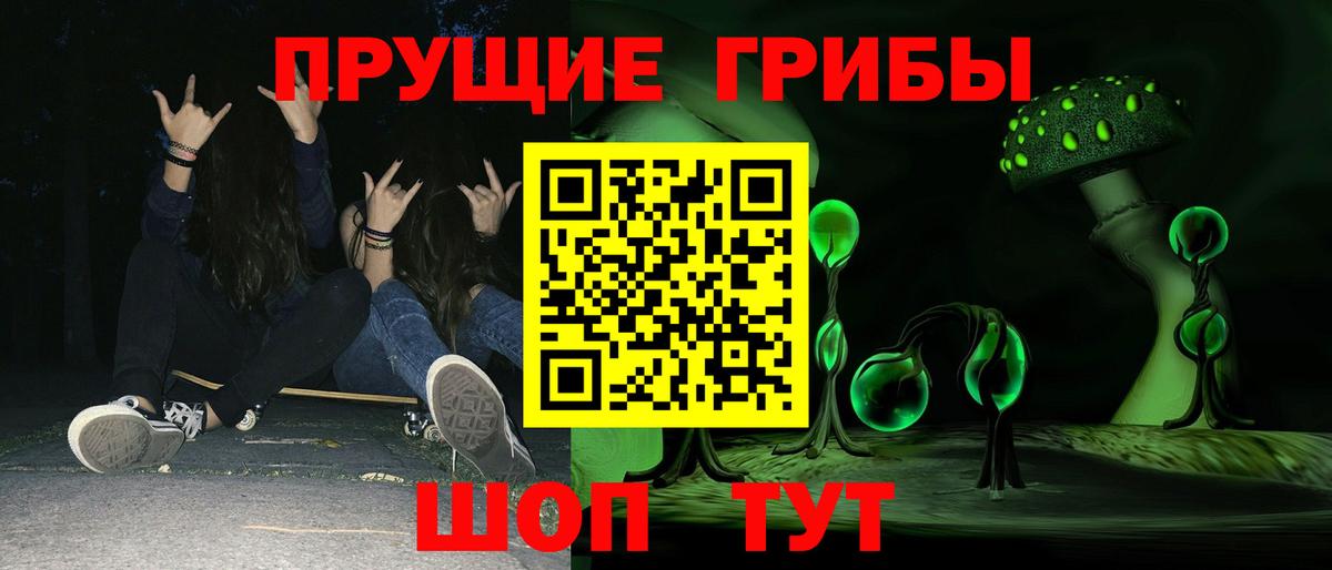 Мытищи  Псилоцибиновые грибы Psilocybine cubensis  Вход с VPN 